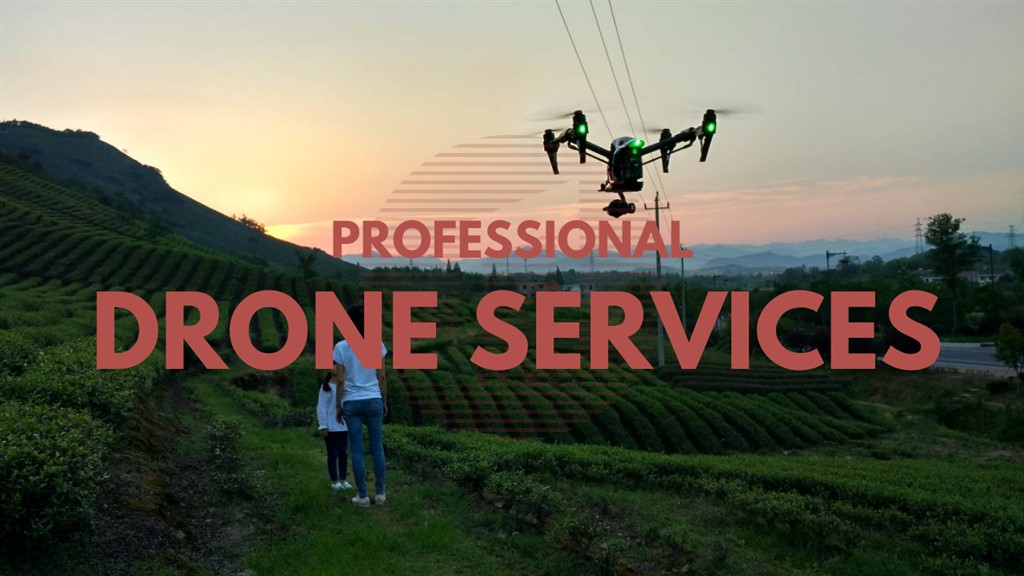 China Drone Services